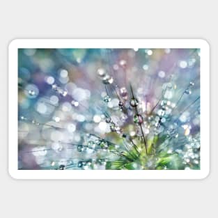 Rainbow Rain Drops Sticker